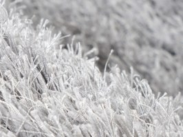 Arte Espina Shaggy Beat, snow