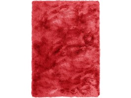 Guido Maria Tiana, red