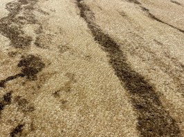 Paklājs Karmel Gemma 2470-03 beige