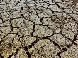 Paklājs Karmel Tera 2404-066 beige