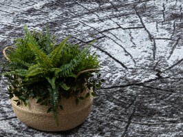 Paklājs Welen Paine 3919-15 pelēks