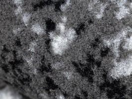 Paklājs Welen Paine 3919-15 pelēks