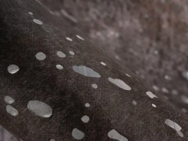 Western 500, silver/black